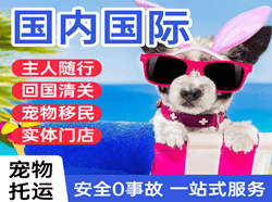 包头航空托运国际宠物托运 【国